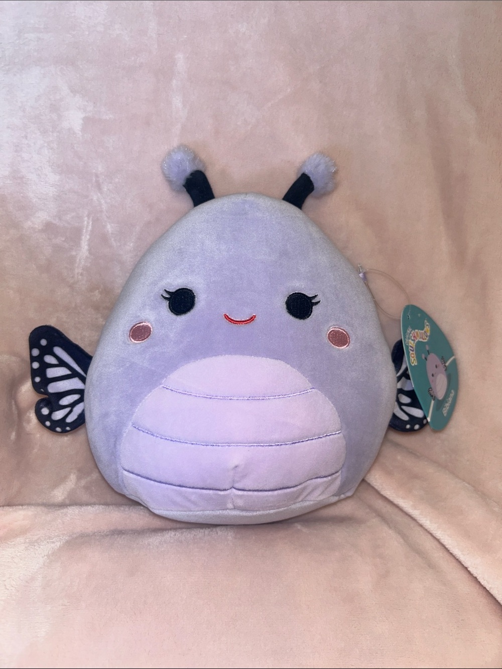 Bibiana Butterfly Squishmallow 7.5"